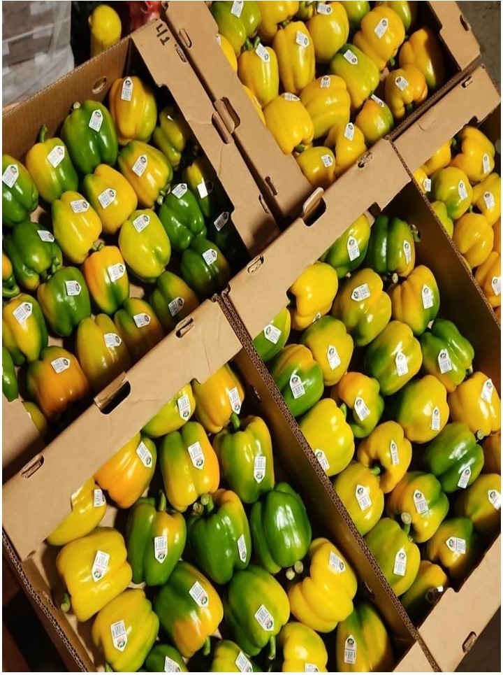 Chiles de colores