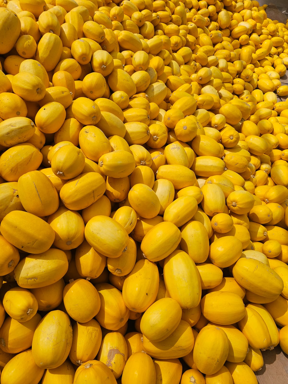 Calabazas